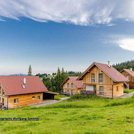 Beautiful Holiday Home In Weinebene With Sauna Posch Alpe Eksteriør billede