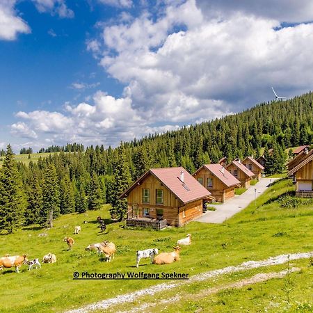 Beautiful Holiday Home In Weinebene With Sauna Posch Alpe Eksteriør billede
