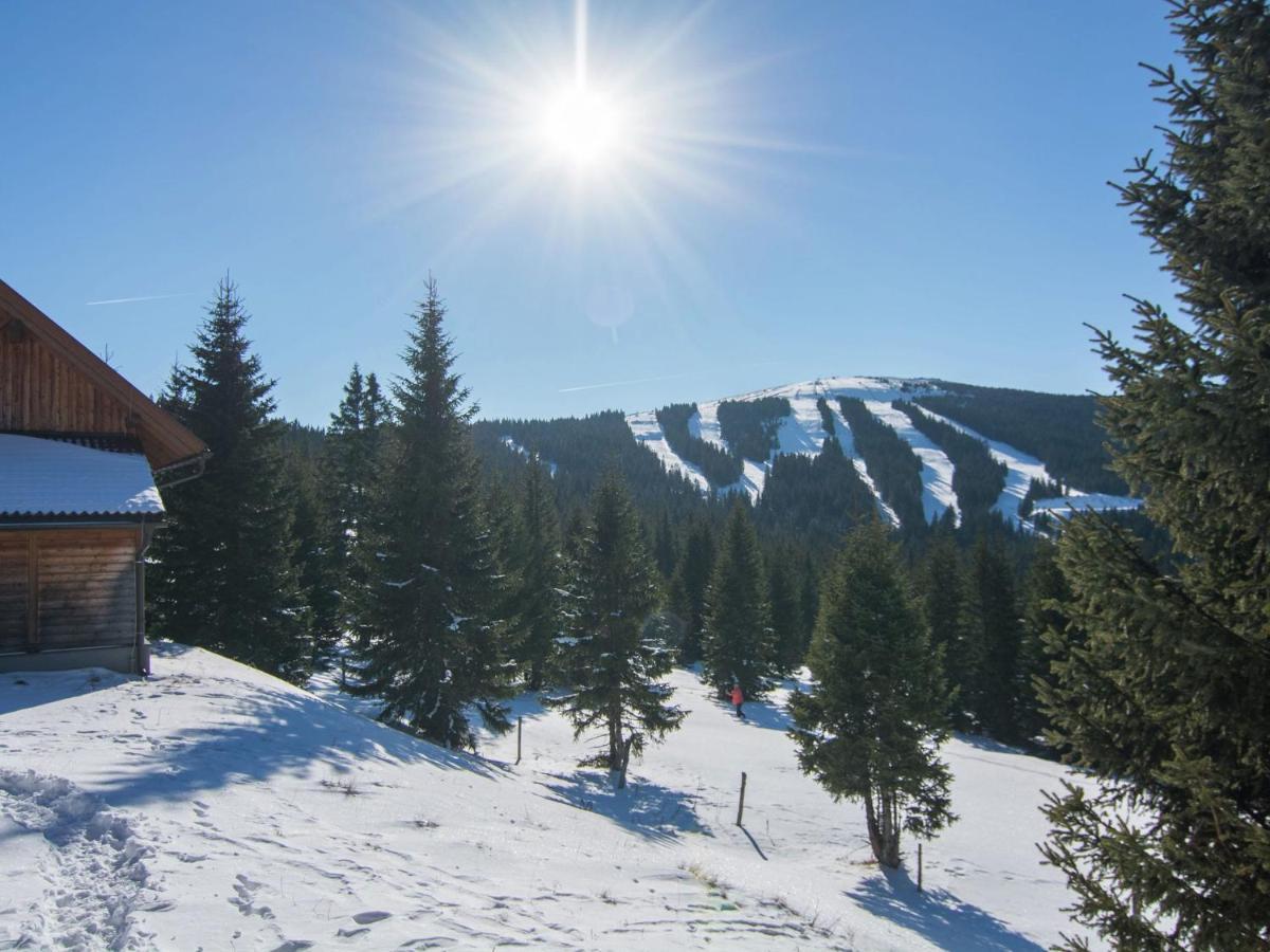 Beautiful Holiday Home In Weinebene With Sauna Posch Alpe Eksteriør billede