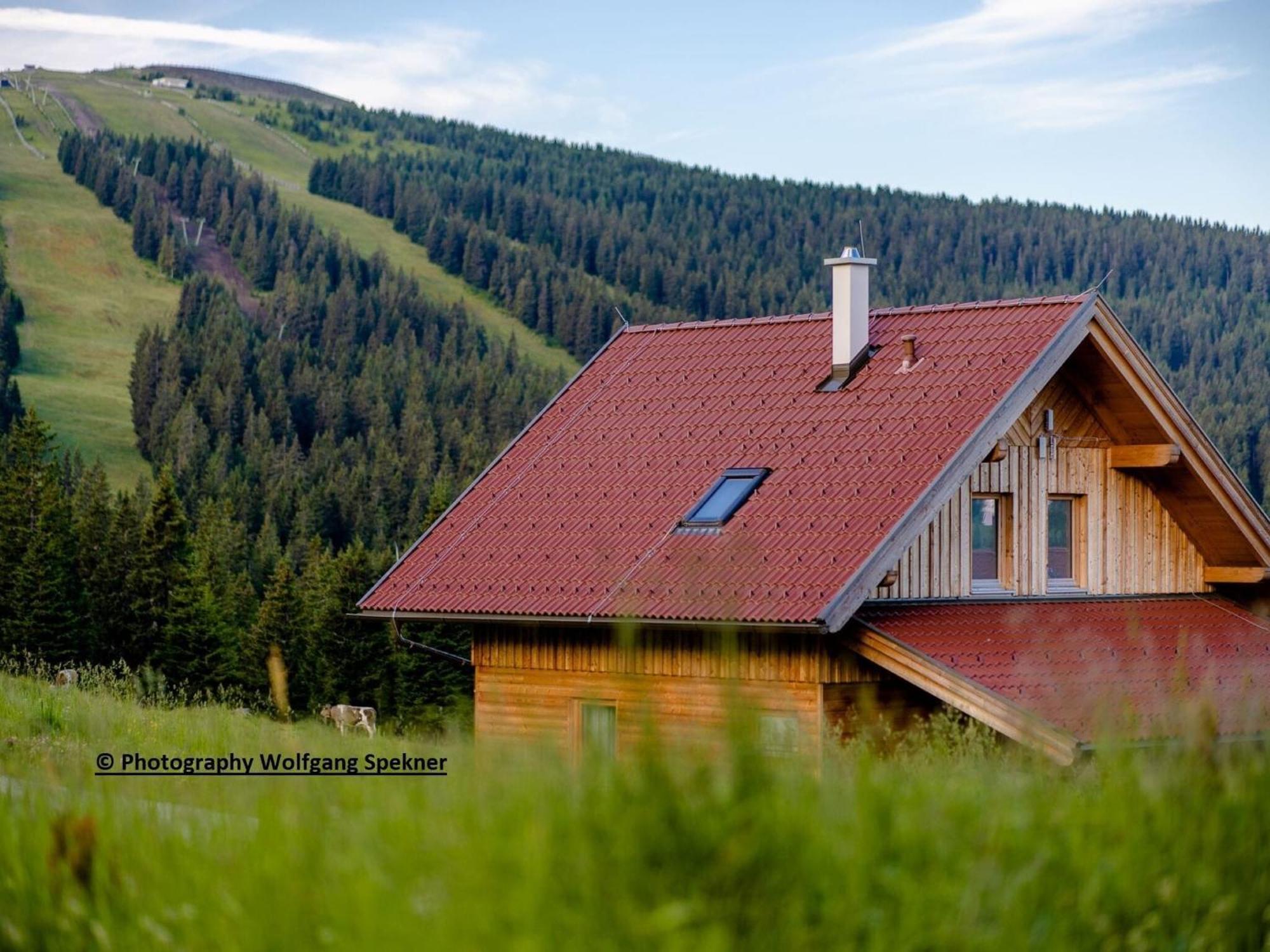 Beautiful Holiday Home In Weinebene With Sauna Posch Alpe Eksteriør billede
