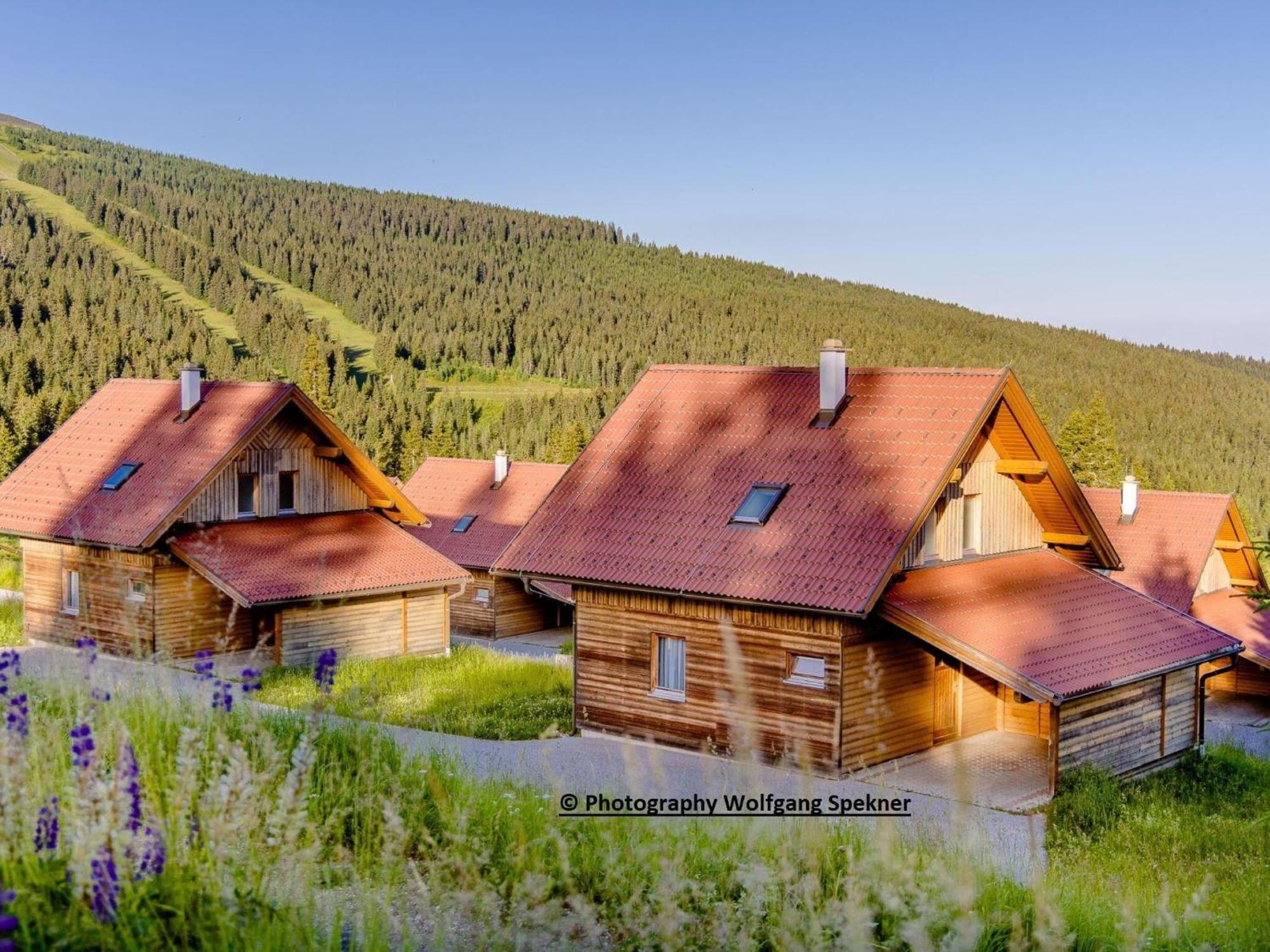 Beautiful Holiday Home In Weinebene With Sauna Posch Alpe Eksteriør billede