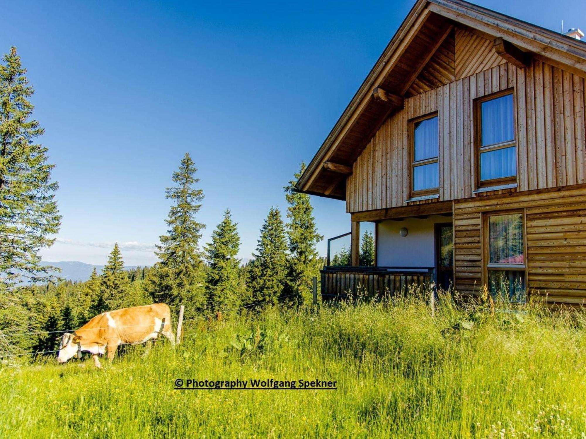 Beautiful Holiday Home In Weinebene With Sauna Posch Alpe Eksteriør billede