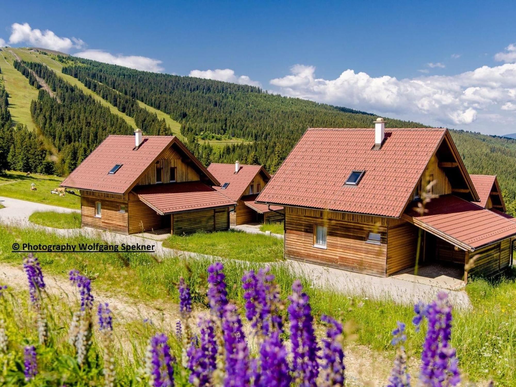 Beautiful Holiday Home In Weinebene With Sauna Posch Alpe Eksteriør billede