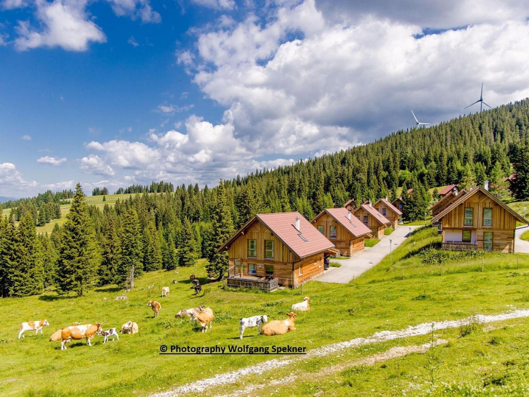 Beautiful Holiday Home In Weinebene With Sauna Posch Alpe Eksteriør billede