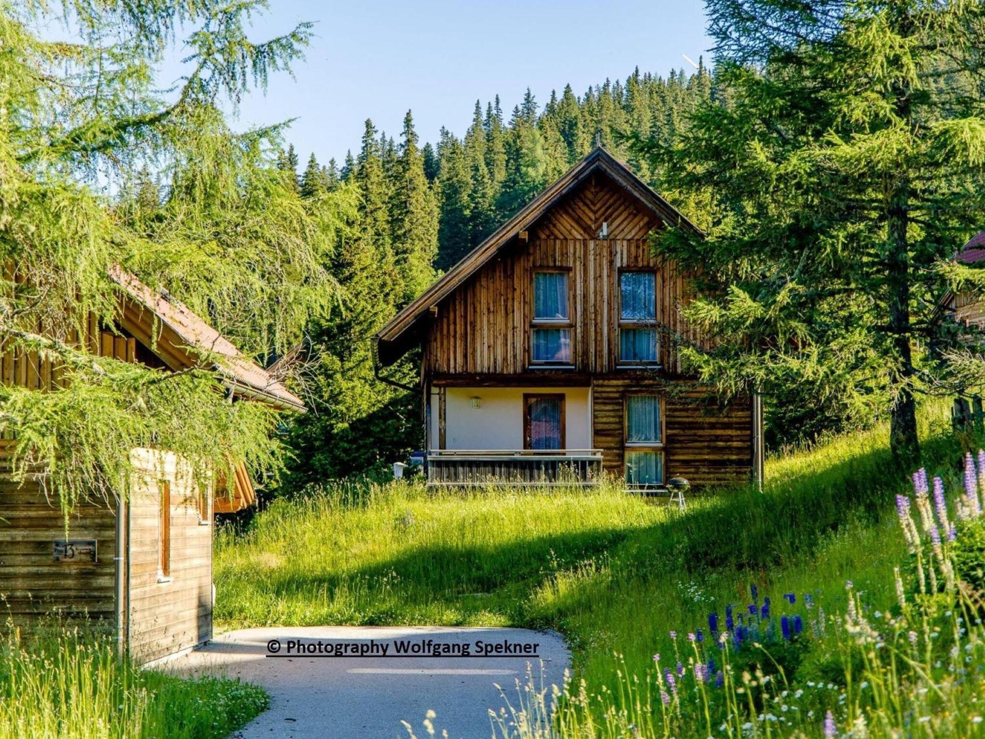 Beautiful Holiday Home In Weinebene With Sauna Posch Alpe Eksteriør billede